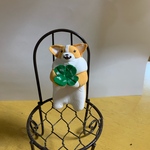 四葉のクローバーとコーギーちゃん