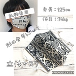 再販[小学生用]オルテガ模様の立体マスク2枚セット＊裏ガーゼマスク・男の子・子ども・キッズ・かっこいい・布マスク