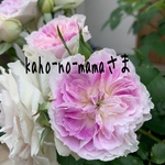 kaho-no-mamaさま専用ページです！