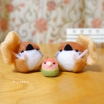 【ご依頼品】雨上がったかしら？スズメ とコザクラインコ