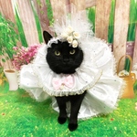 花嫁にゃんこマスク無し
