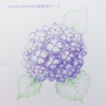youkorin4444様専用ページ（ご予約品）