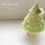 *再販*  妖精のおうち　（プリザーブドフラワー　ベイビーグリーン）