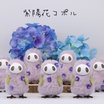 紫陽花コポル(Hydrangea copolu) M〜S