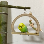 竹鳥物語ブランコA【キンカチョウ・文鳥・セキセイインコ・マメルリハ・ボタンインコ・小桜インコ】】鳥のおもちゃ