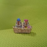 シマリス織姫&彦星 バスケット入り 羊毛フェルト