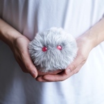 ぬいぐるみ  フランボワーズタイプ