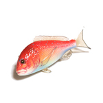 魚のアクセサリー/フィッシュブローチ（真鯛）