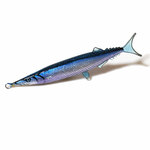 魚の全身アクセサリー/ホールフィッシュストラップ（サンマ）