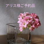 ミニグラニーバッグ2点【ご予約品】