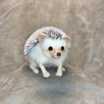 [オーダー品] 羊毛フェルト ハリネズミ 