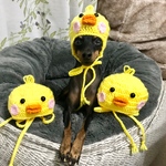 小型犬用　ひよこっこ🐥帽子