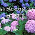 K様 専用