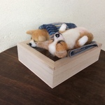 コーギーパピーお昼寝中💤