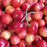 果実感＊『山梨産 完熟さくらんぼconfiture《cerise》』