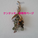 ケンタッキー様専用ページ