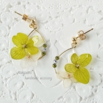 紫陽花咲く.*✿お花のフープピアス-green×white leaf color bloom flower-【グリーン×ホワイト】