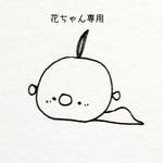 花ちゃん専用