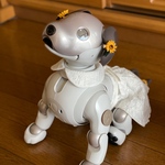 ナチュラルレースのセパレートワンピ