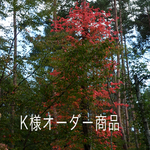 八ヶ岳〜K様　再販オーダー品(送料込み)