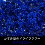 【50個】かすみ草のドライフラワー（ロイヤルブルー）