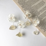 ｟ ﾋﾟｱｽ ｠glass flower
