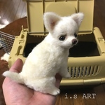 お迎え初ニチワワ♡
