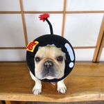 爆弾犬ヅラ