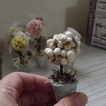 mini miniトピアリー・南京ハゼの実