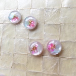 小ぶり の シェルピアス　イヤリング(ピンク) ＊ ボタン リメイク