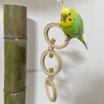 鳥 おもちゃ【竹の三連ワッカ】キンカチョウ・コキンチョウ・セキセイインコ