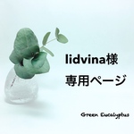 lidvina様オーダー専用ページ