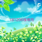 181206様専用