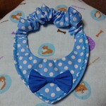 ＱTシリーズ(セーラーシュシュ※水色)