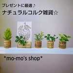 ナチュラルコルク雑貨⑪ミニコルクグリーンリーフスタンド&カードスタンド☆ナチュラルコルク雑貨☆