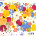 ♡new♡  ♡可愛い押し花セット♡ ♡たくさん入って使いやすい押し花セット♡
