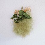 スモークツリーのシンプルなスワッグ