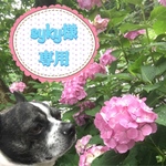 syky様