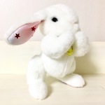星に願いを(白、水色のしっぽ)