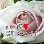 ef0601様❤️専用ページです