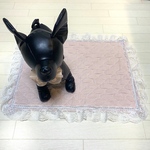 犬用　カフェマット