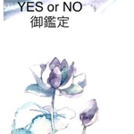 霊感霊視  YES or NO  御鑑定