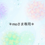 ＊momoさま専用＊