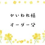 かいわれ様オーダー分