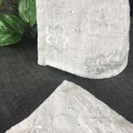 刺繍レース　2枚組