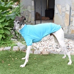 『ドライニット・ブルー🐠』