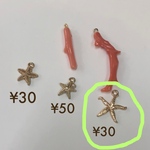 専用ページ