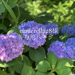 cinderella28様専用ページ