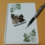 薔薇コーナー