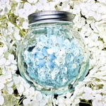 🌿Crystal and Delphinium🌿【3日で発送❀】
